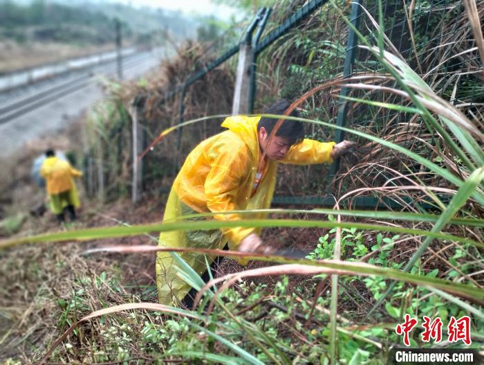 广东铁路部门全力筑牢防洪“安全堤” 光明网 9372