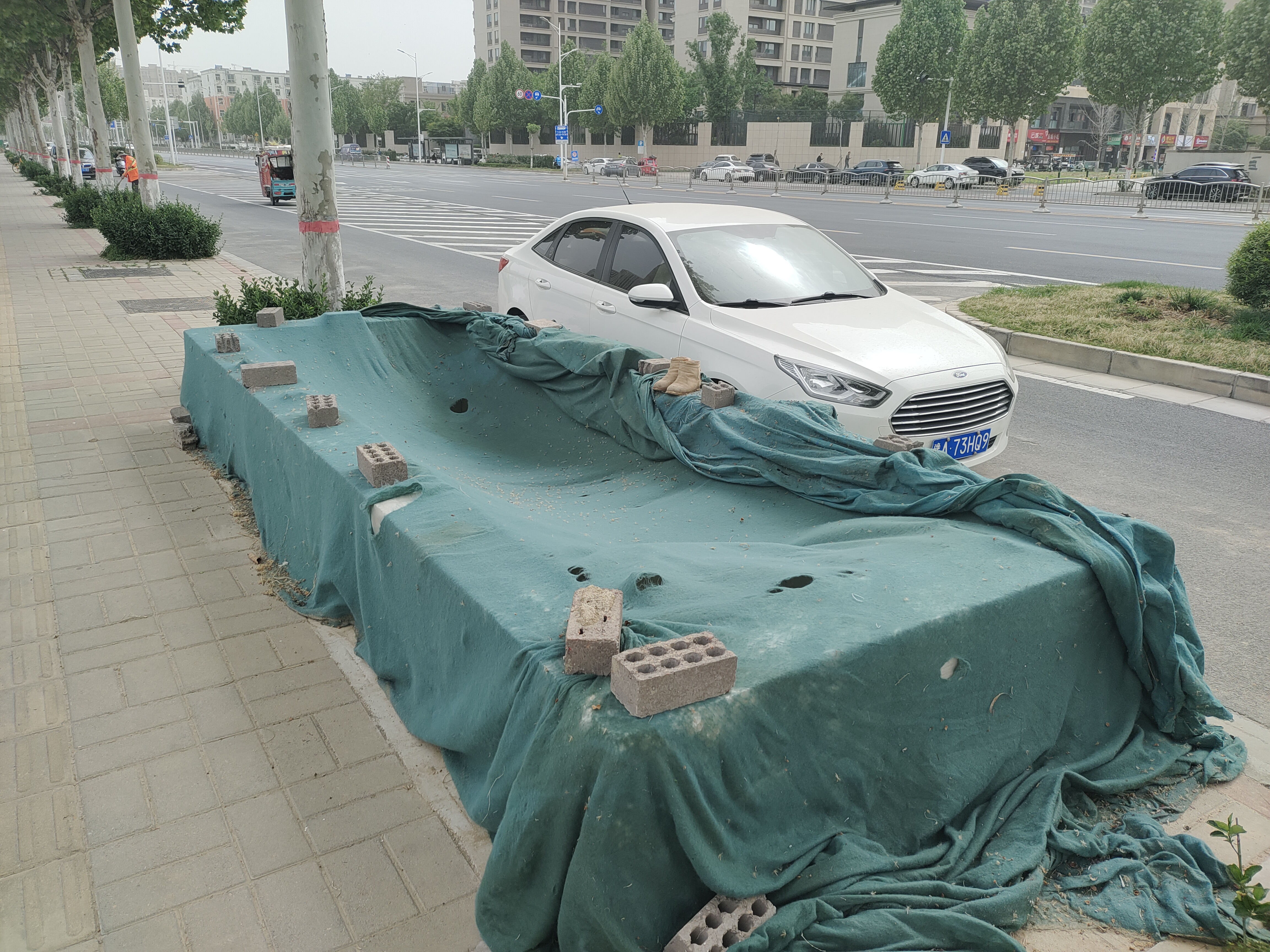 “郑点亮”治愈两年“旧伤”，郑州城管“跳起来”点亮大街小巷