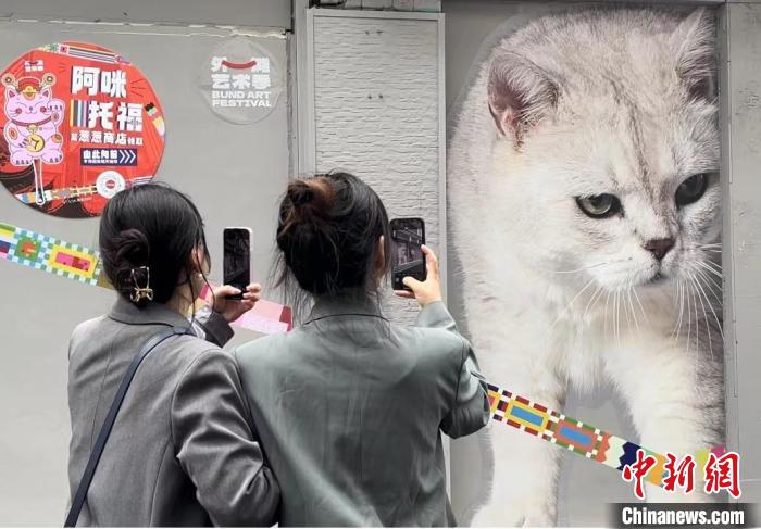 上海外滩艺术季上的“猫街”火了 艺术如何“擦亮”每个人的时间？
