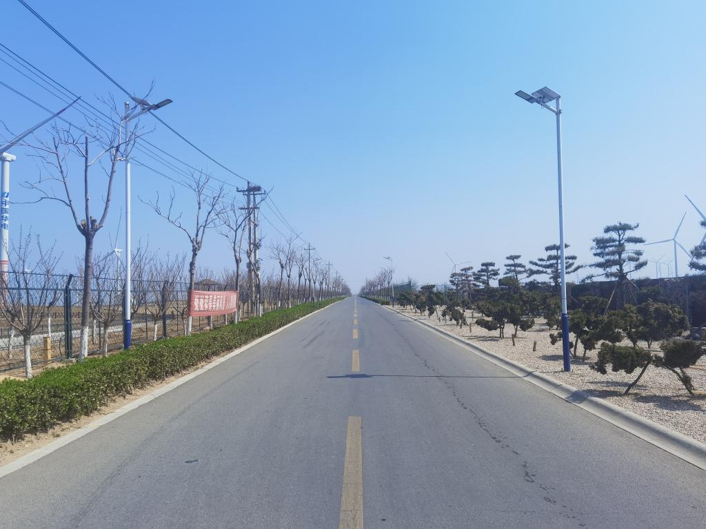 山东龙口：一条乡间路，激活一片景