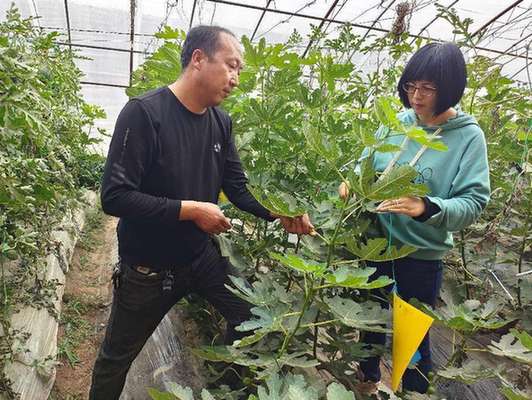 我和我的村丨自制的“民情卡”连通了群众心