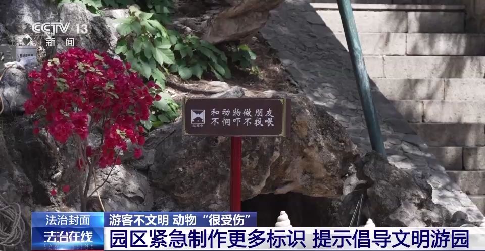 游客行为过了火 动物“很受伤” 不文明行为怎么治？