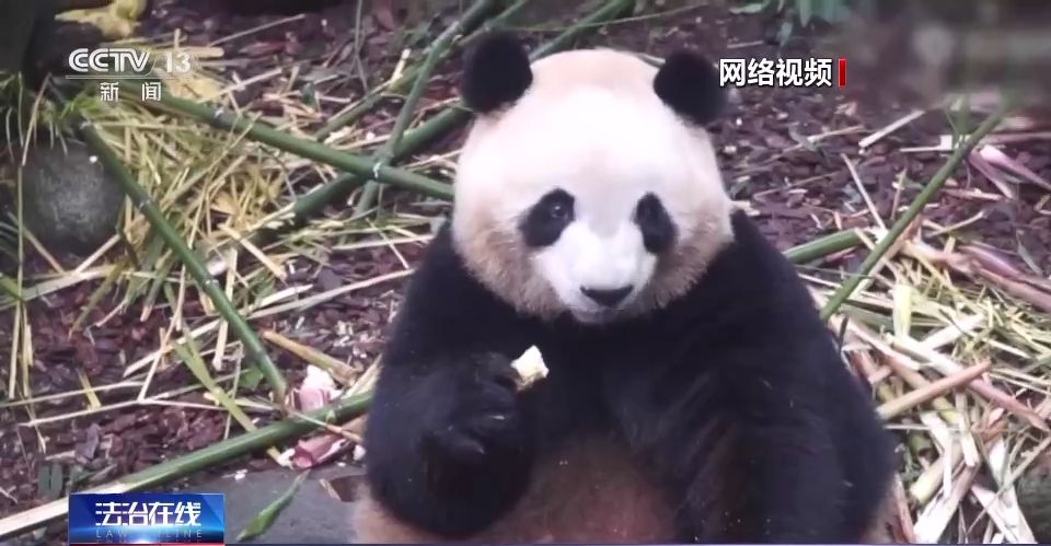 游客行为过了火 动物“很受伤” 不文明行为怎么治？