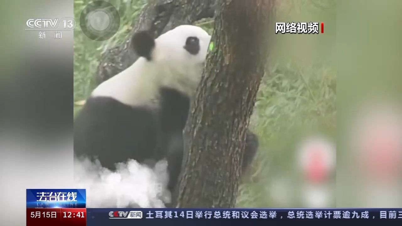 游客行为过了火 动物“很受伤” 不文明行为怎么治？