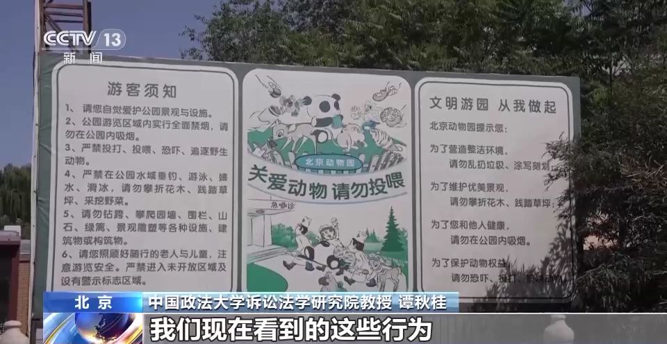 游客行为过了火 动物“很受伤” 不文明行为怎么治？