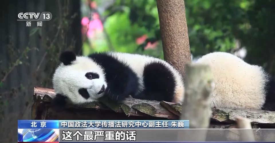 游客行为过了火 动物“很受伤” 不文明行为怎么治？