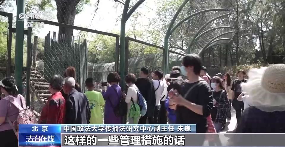 游客行为过了火 动物“很受伤” 不文明行为怎么治？