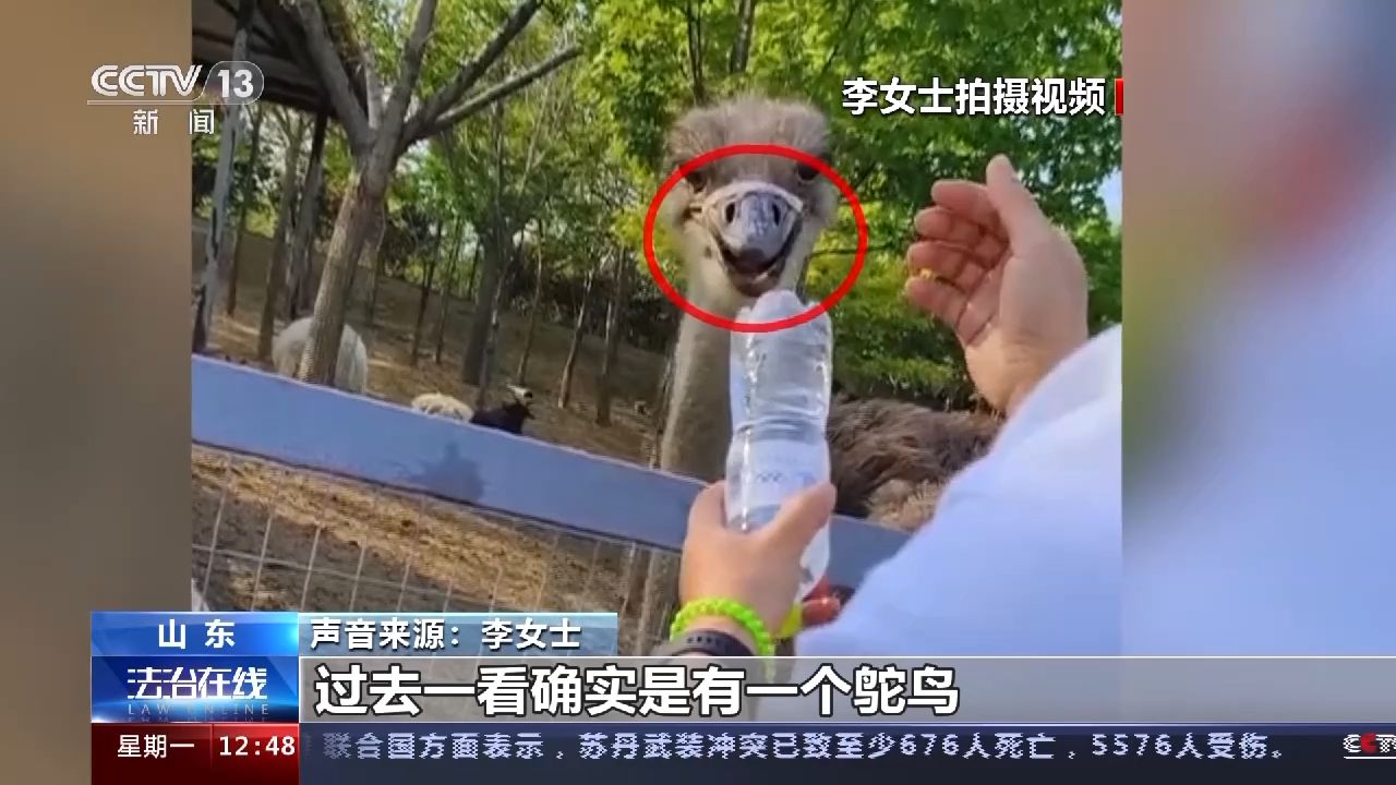 游客行为过了火 动物“很受伤” 不文明行为怎么治？