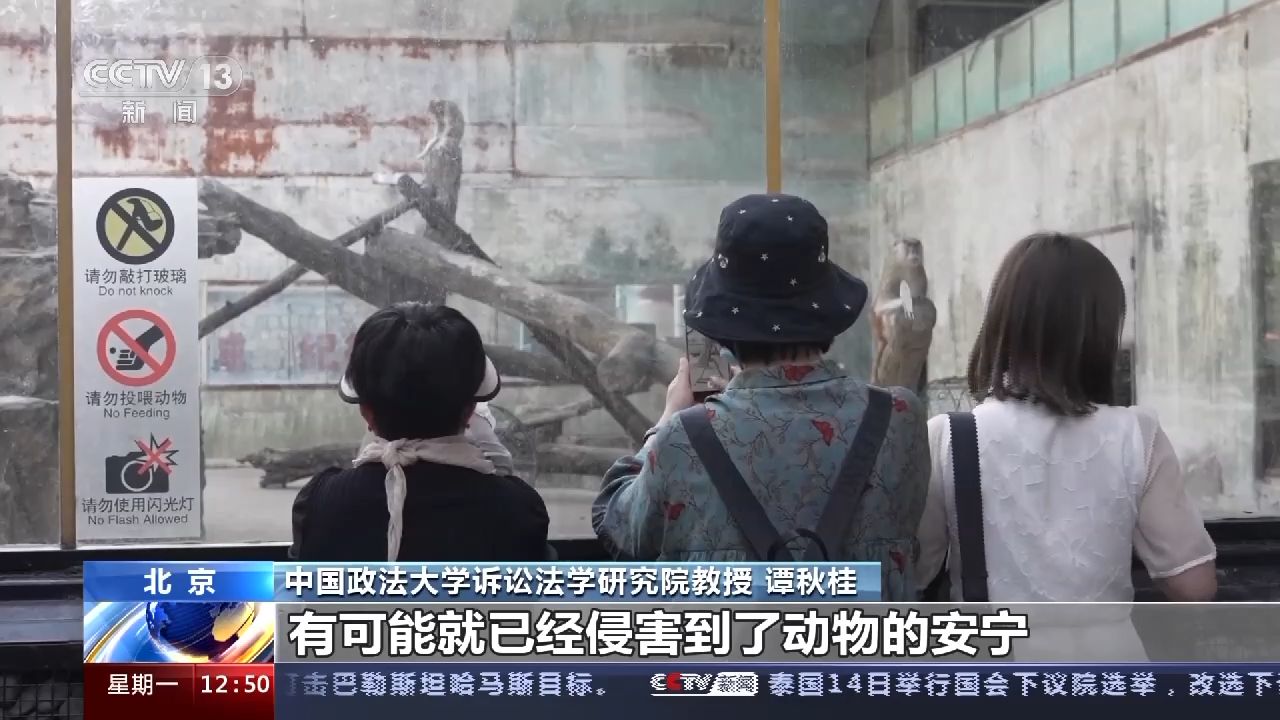 游客行为过了火 动物“很受伤” 不文明行为怎么治？