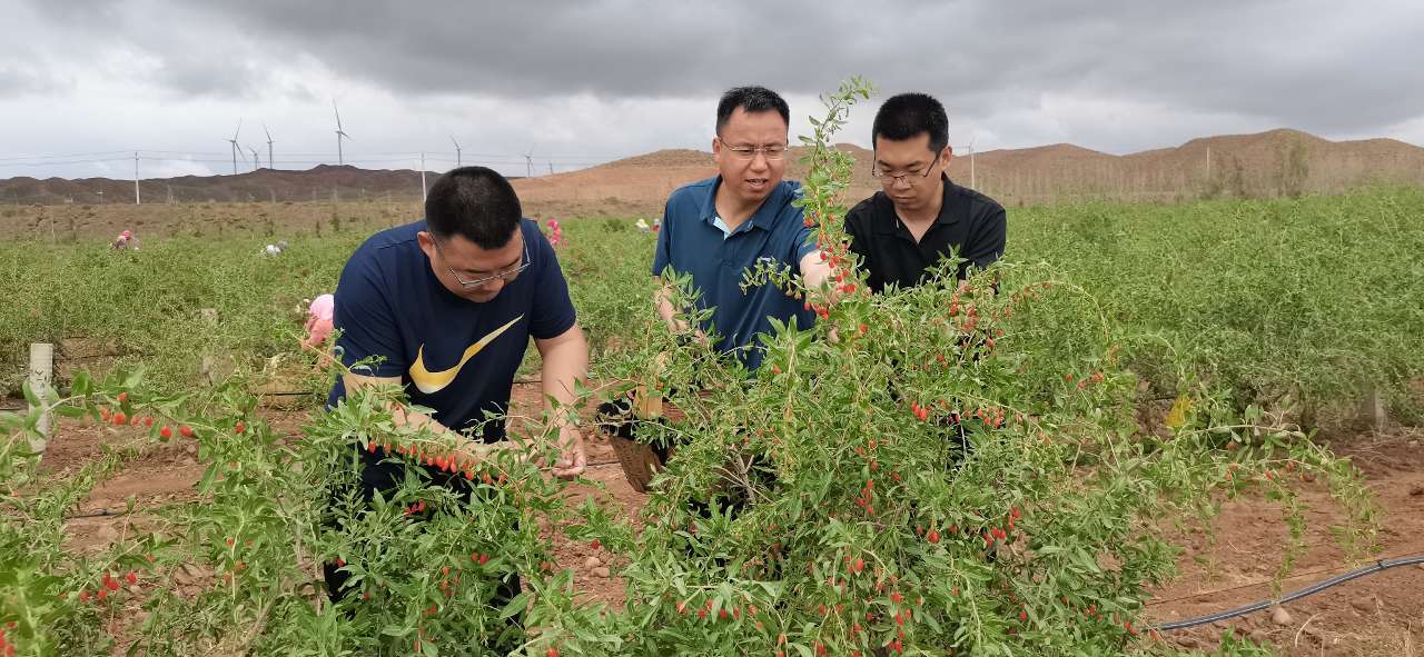 我和我的村丨同心“同德”谋振兴