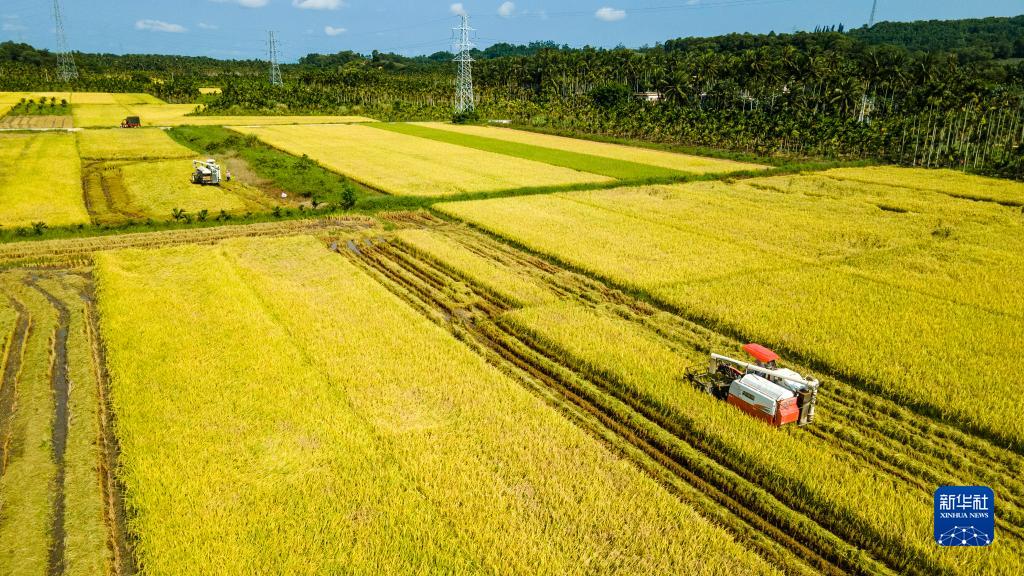 收获在希望的田野上