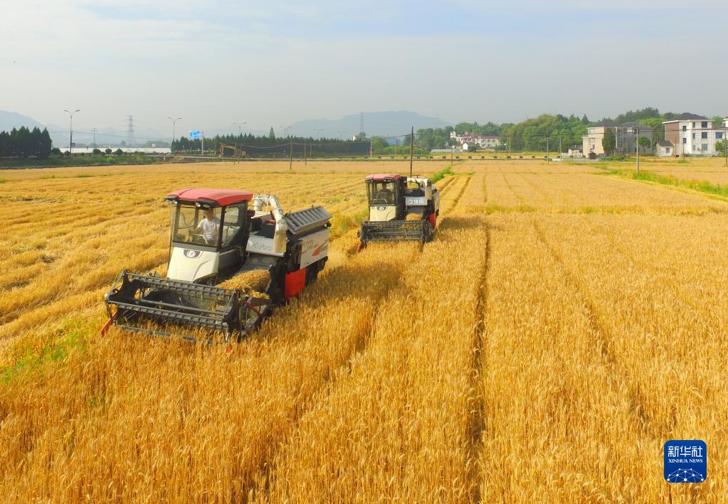 收获在希望的田野上