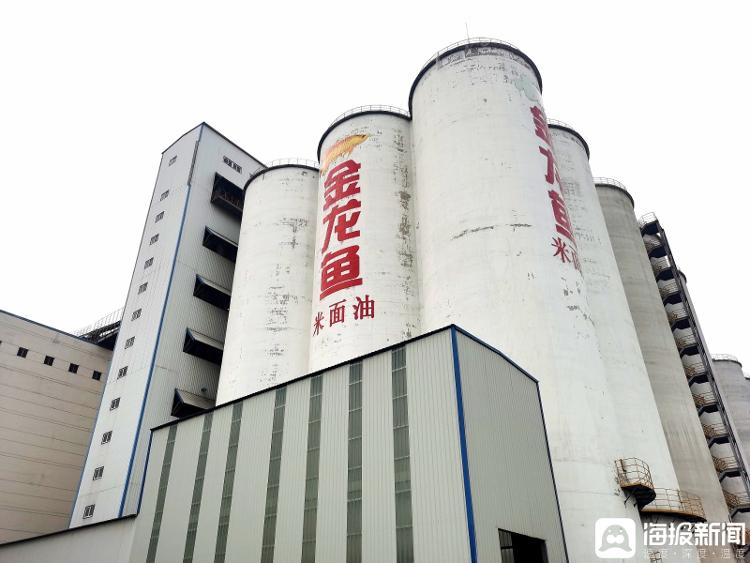 首善之区 魅力德城丨日加工小麦2700吨！舌尖上的“德城造”安全有保障