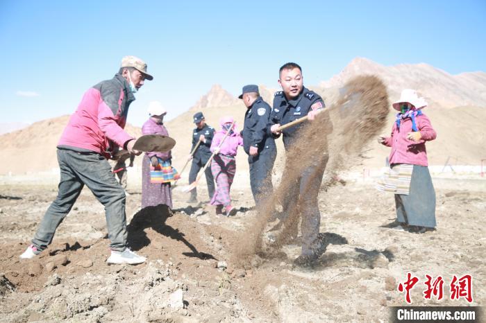 西藏阿里移民警察助民种青稞