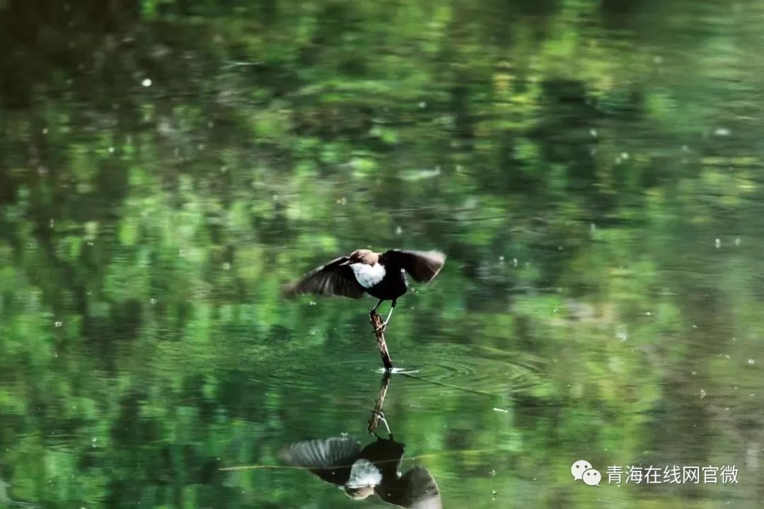 【中国旅游日】在青海囊谦打卡最好意思的欢畅