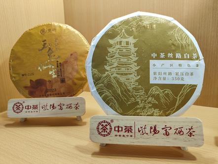 “陕茶优品 品行天下”陕茶亮相第五届中国国际茶叶博览会