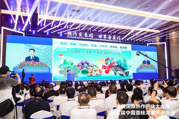第七届中国荔枝龙眼产业大会在广东茂名召开