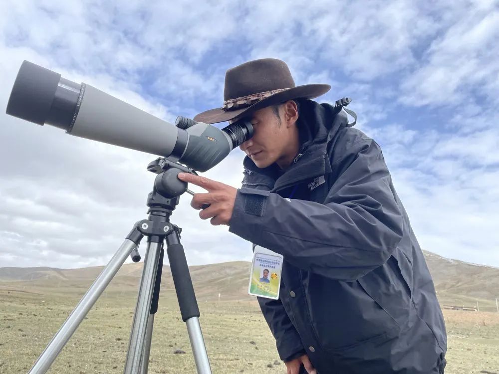 与鹤为邻，寻豹而行——基层守护者见证三江源生物多样性保护成效
