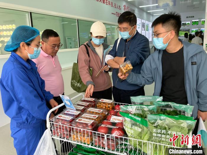 从“浙东红村”看革命老区里的乡村共富