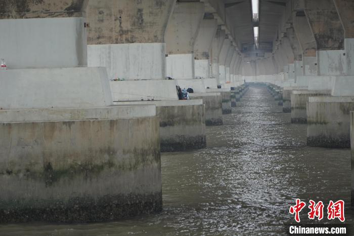 东海大桥绝非“东海钓台” 上海海警严厉打击非法海钓行为