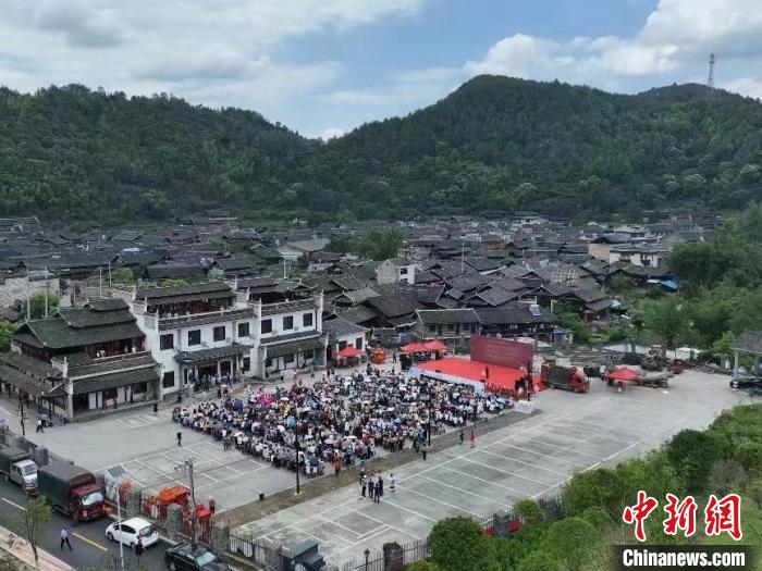湖南会同一片“乌饭”树叶 长出“百万”产业