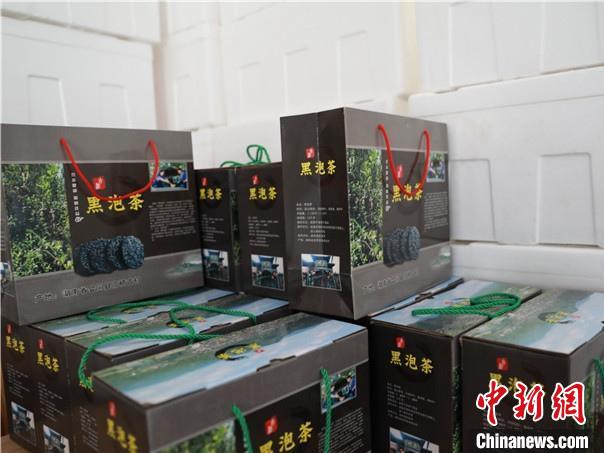 湖南会同一片“乌饭”树叶 长出“百万”产业