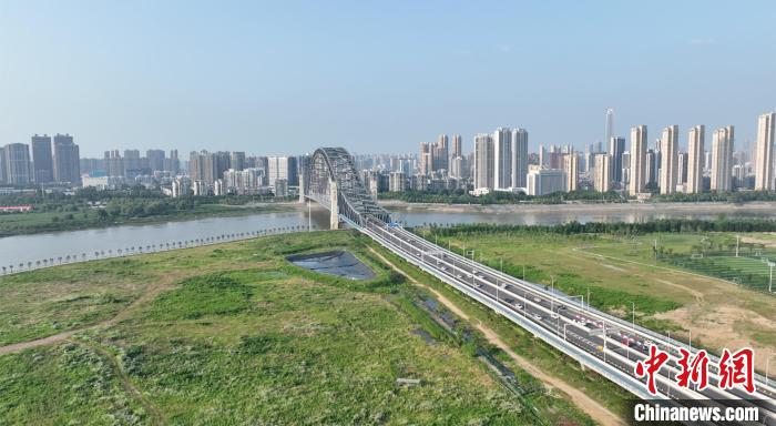 湖北武汉:2万平方米波斯菊花海在汉江湾盛放 图为汉江湾(航拍图) 吴淘淘 摄