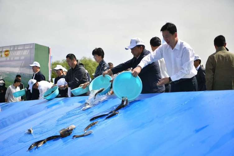 宁夏首届“黄河流域生态保护主题宣传实践月”活动启动