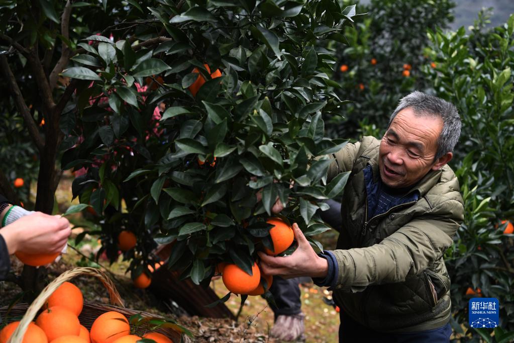 解码文化自信的城市样本丨文润山城气自华