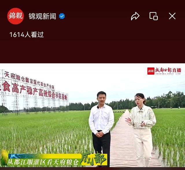 从都江堰灌区看天府粮仓（成都） | 深耕天府好田 农业“CEO”种出天府好粮