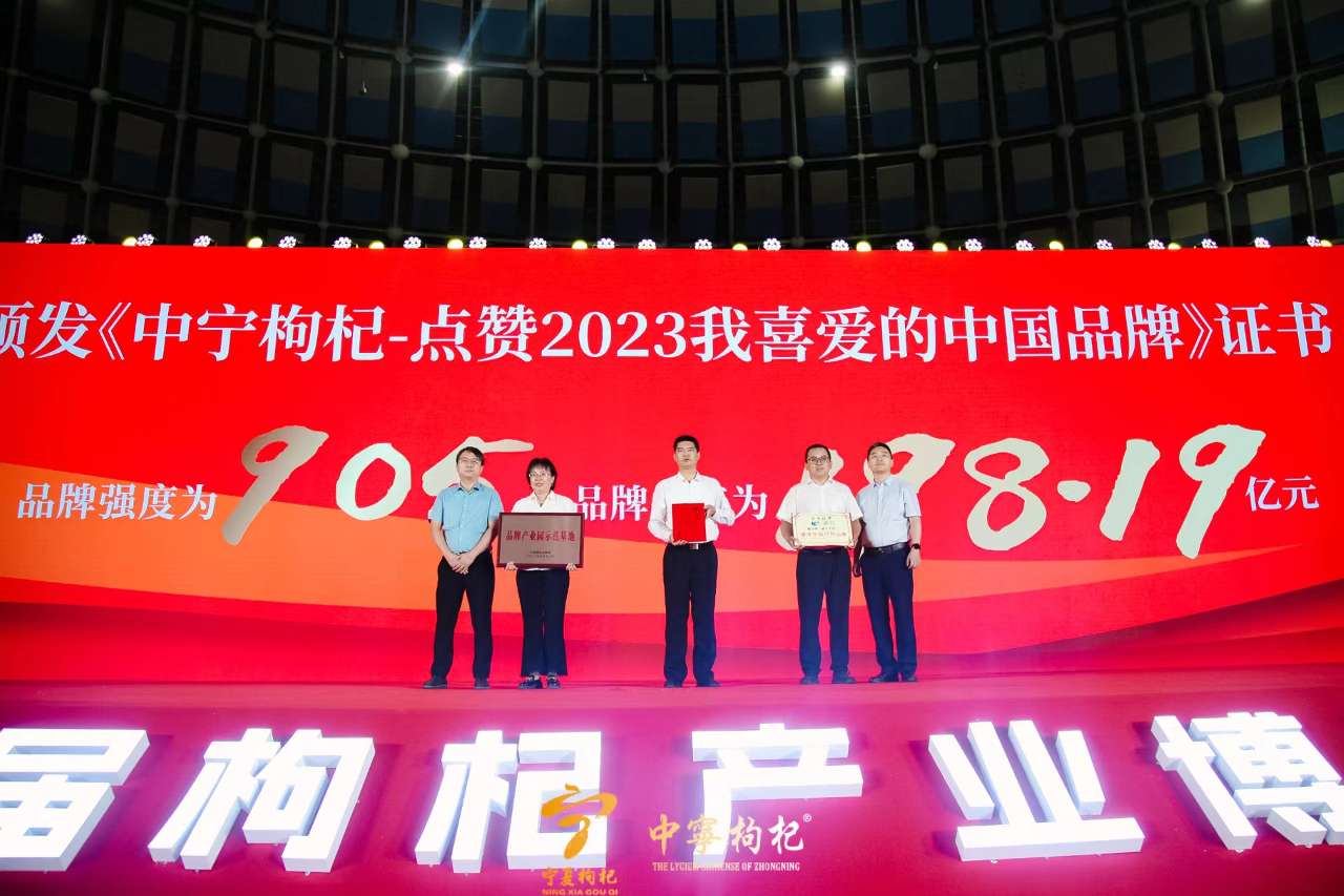 第六届枸杞产业博览会招商引资签约90多亿元