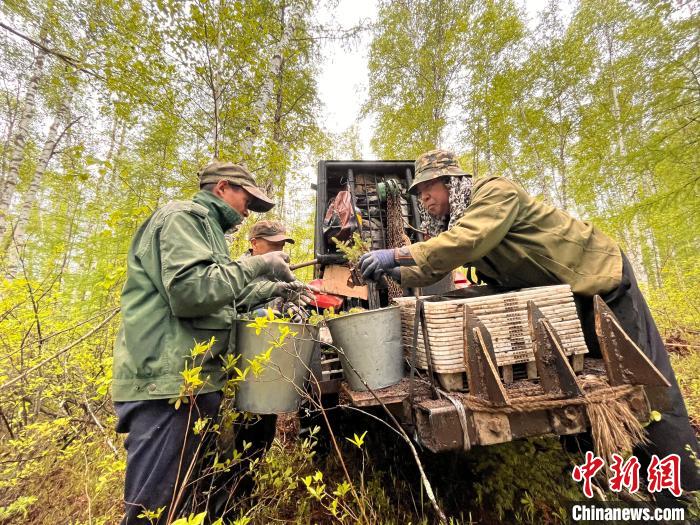 两代护林人的绿色梦想：植此青松，成此青山
