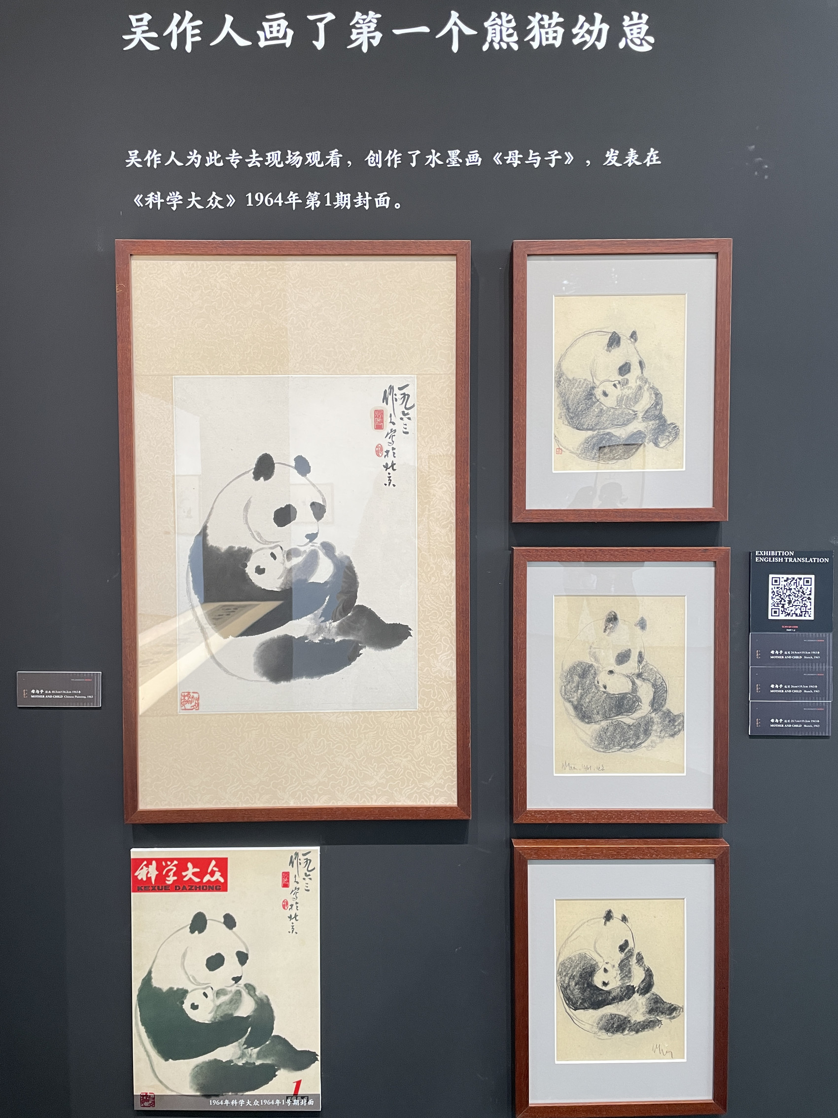 C视频 | 准备好被萌化了吗？54幅吴作人熊猫画真迹亮相成都东部新区