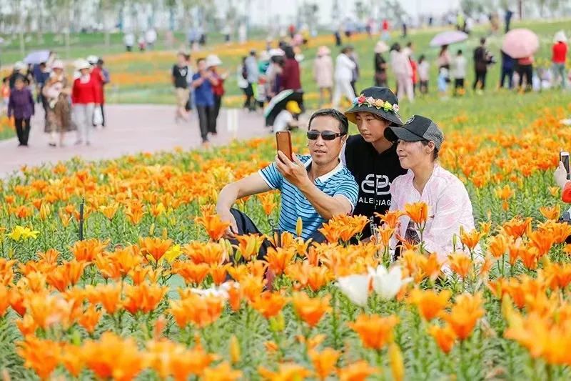 726件作品:“我和石嘴山的故事”征文开始评审啦