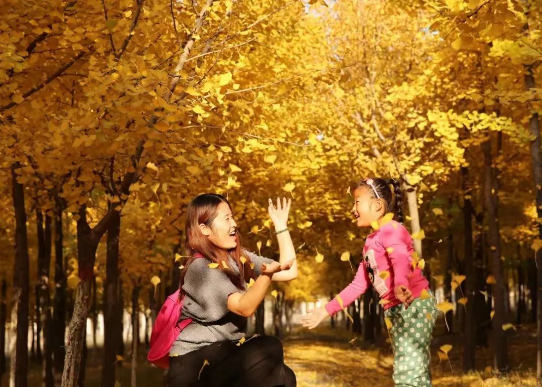 726件作品:“我和石嘴山的故事”征文开始评审啦