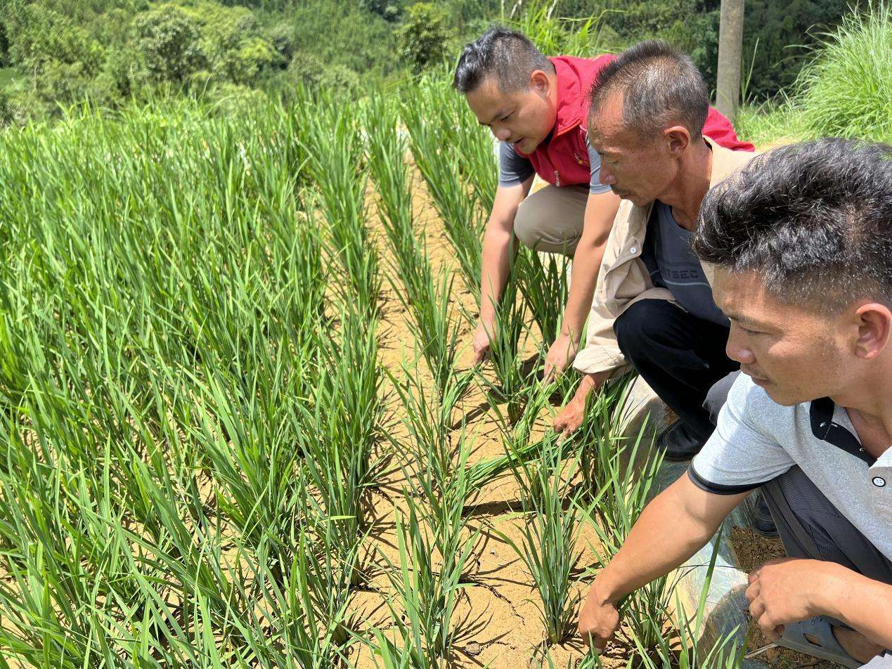 广西百色:驻村民警齐抗旱 合力引来幸福泉 IMG_256