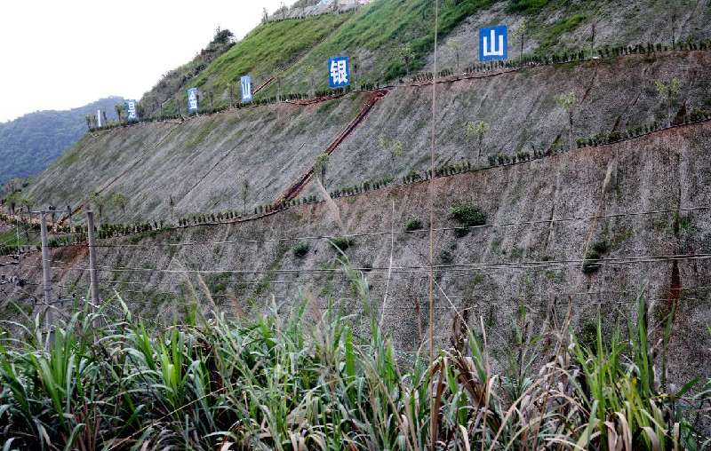 广西贺州平桂区实施生态治理修复矿山2254亩