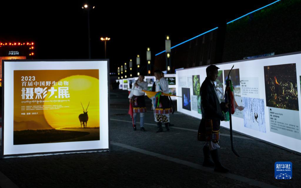 [图文]2023首届中国野生动物摄影大展开幕