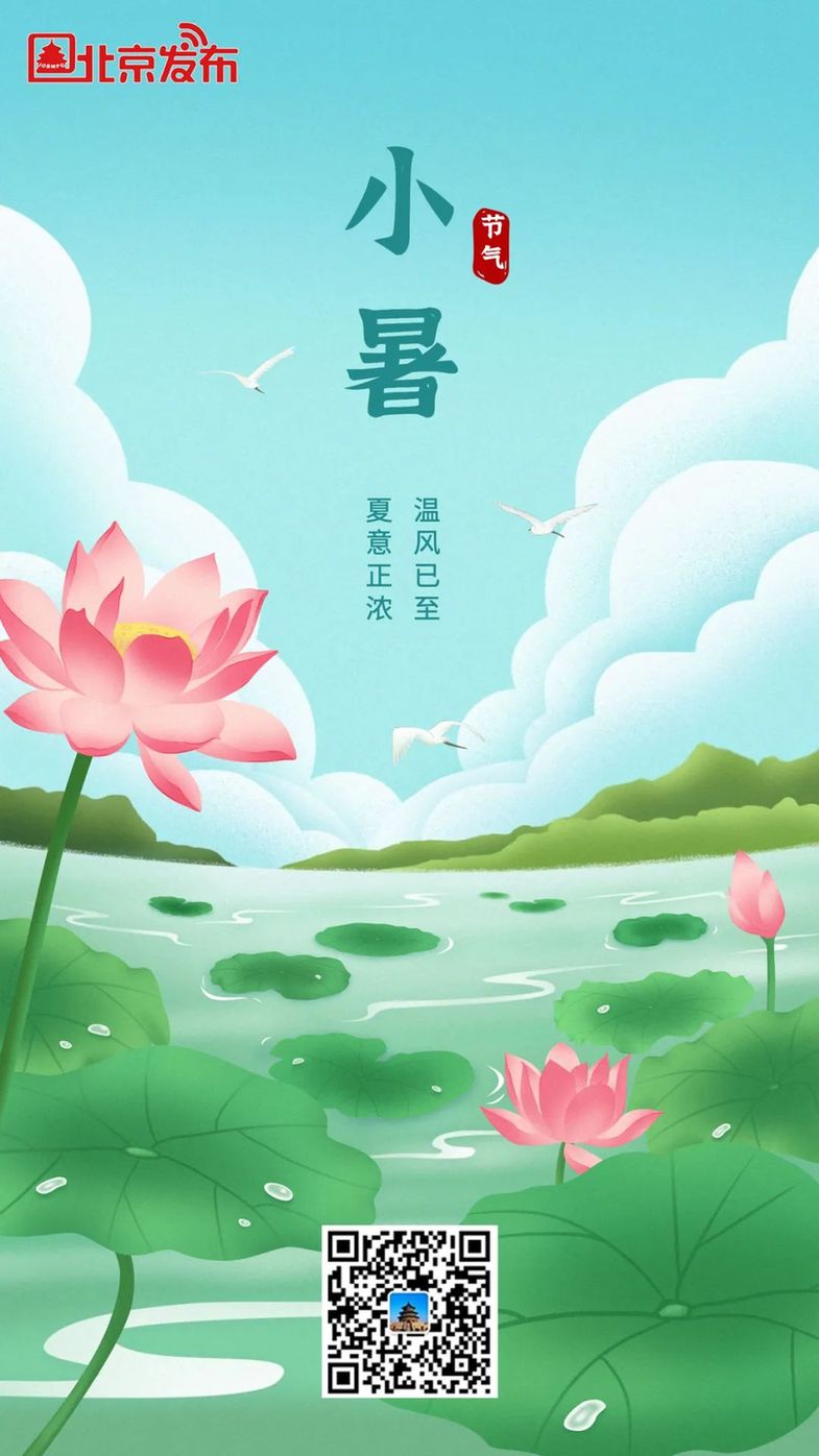 今日小暑｜温风已至 夏意正浓
