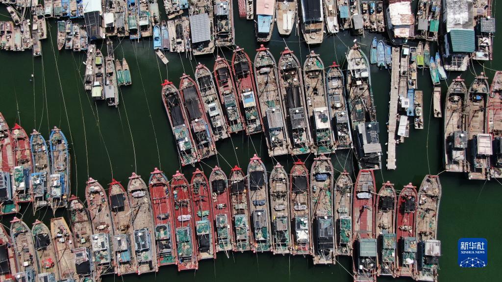 渔船归港 防御台风“杜苏芮”