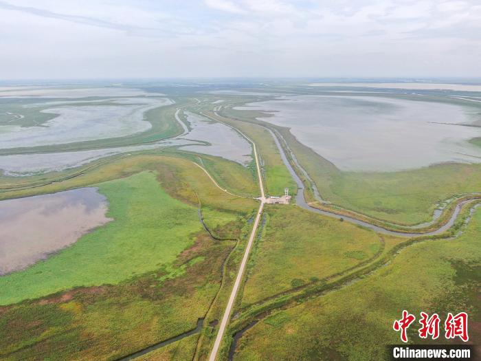 江西鄱阳湖南矶湿地保护区7月记录鸟类41574羽次