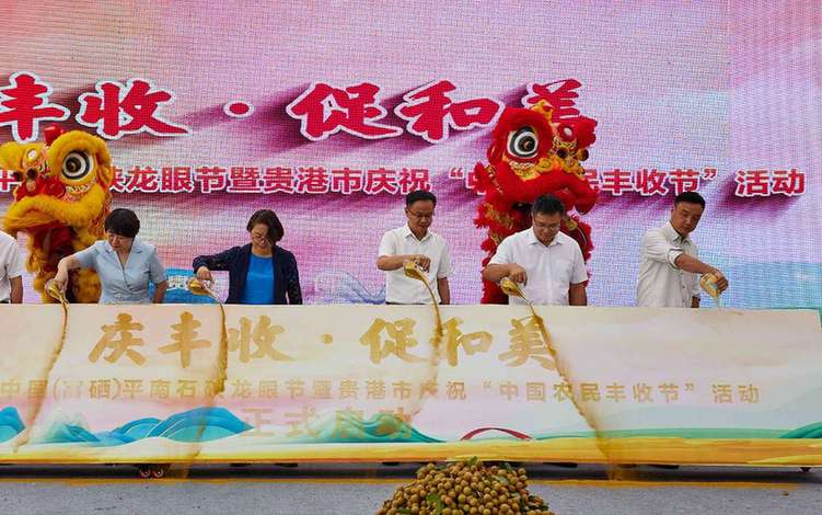 广西多渠道畅通循环 促进龙眼产销两旺