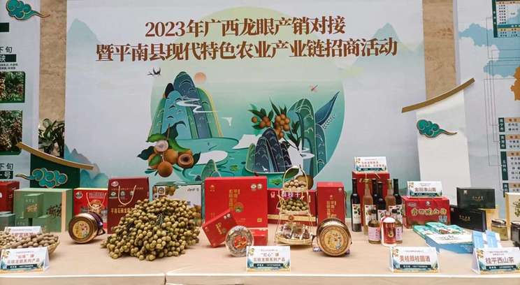 广西多渠道畅通循环 促进龙眼产销两旺