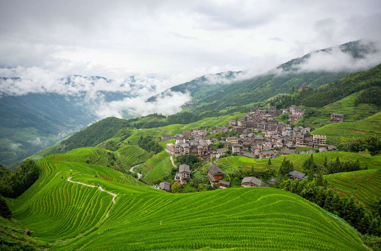 广西龙胜：种田地就是“种”风景 种水稻就是“种”黄金