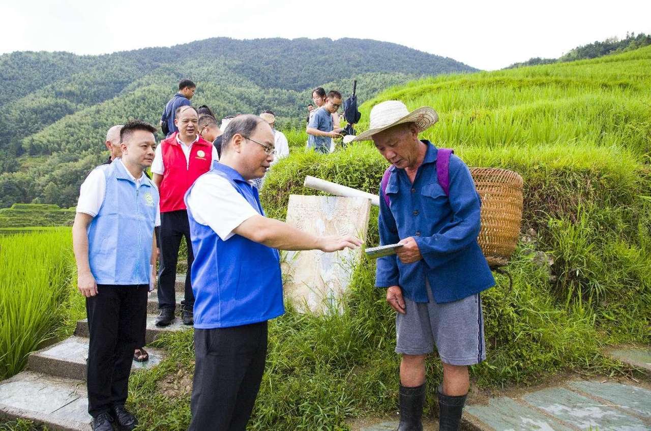 广西龙胜：种田地就是“种”风景 种水稻就是“种”黄金