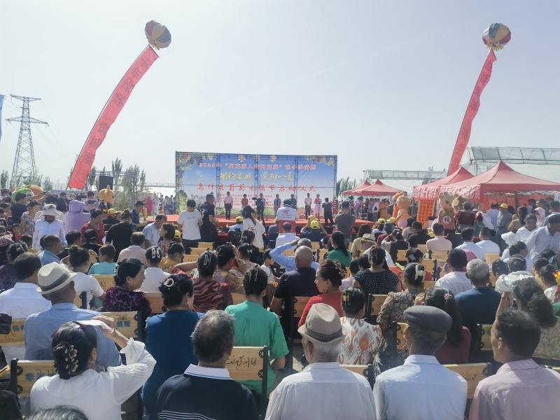 2023年“阿克苏人游阿克苏”秋冬季游暨“相约泉城·萄醉一夏”乌什县葡萄采摘节启动