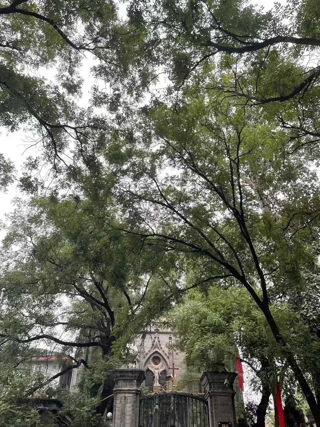 新型旅游攻略！北京“冷知识”看这篇就够了