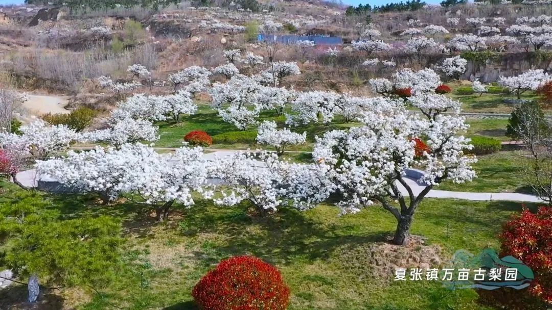 岱岳，泰山脚下的相遇——泰安市岱岳区文旅宣传片震撼发布！