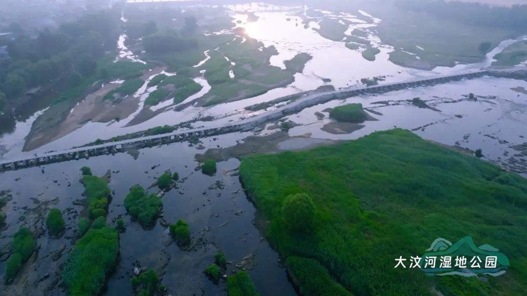 岱岳，泰山脚下的相遇——泰安市岱岳区文旅宣传片震撼发布！