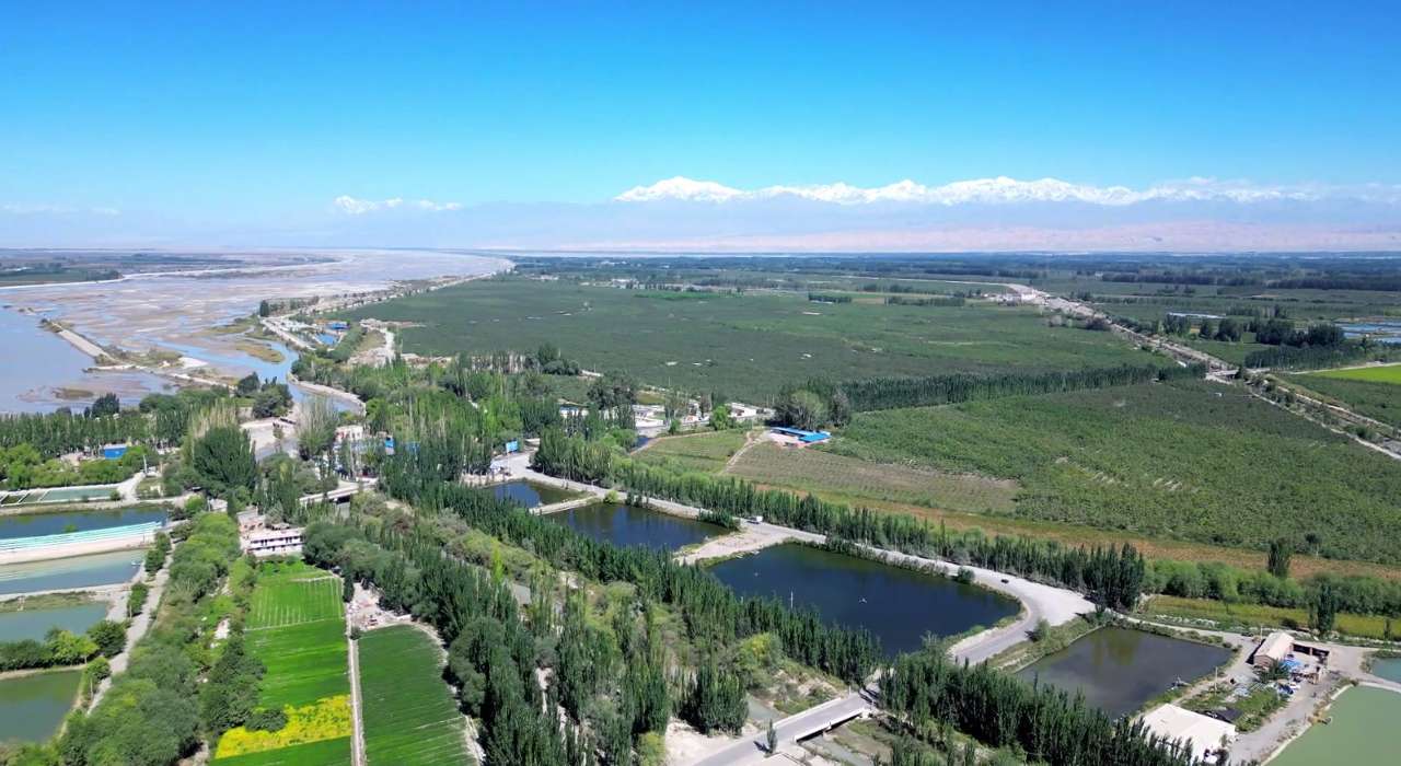 沿着河湖看新疆：冷水养出“热”产业
